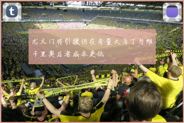 尤文门将引援仍在考量大马丁与维卡里奥后者成本更低