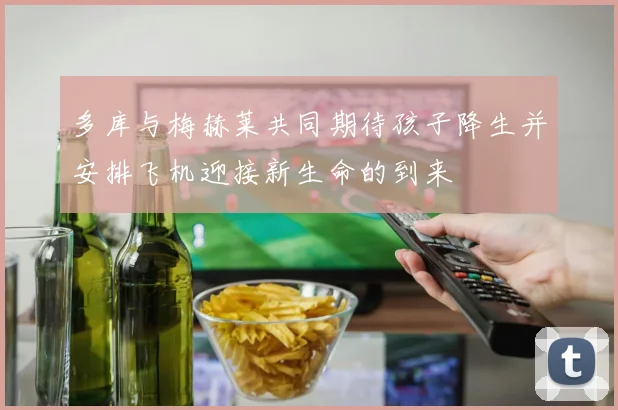 多库与梅赫莱共同期待孩子降生并安排飞机迎接新生命的到来